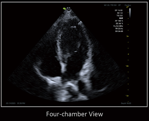 Клінічне зображення 1