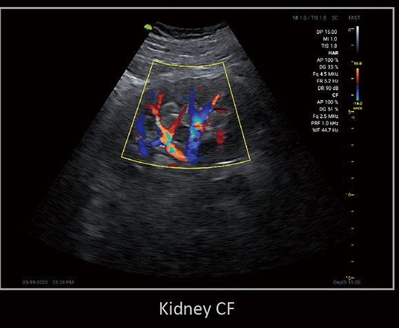 Клінічне зображення 3