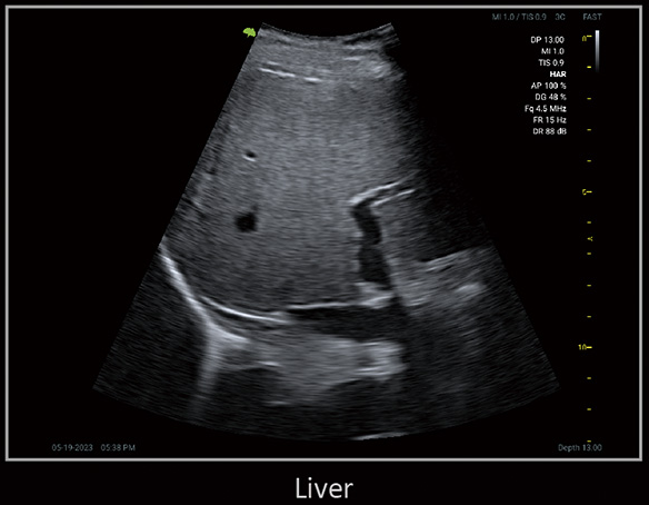 Клінічне зображення 4