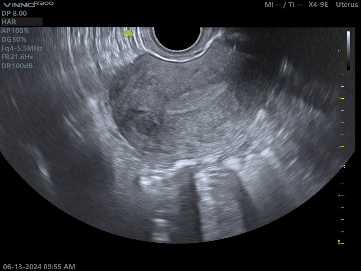 Клінічне зображення 3